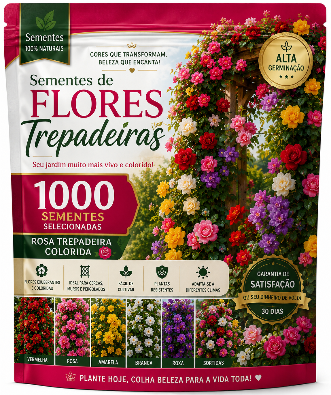 1000 sementes de rosas trepadeiras coloridas