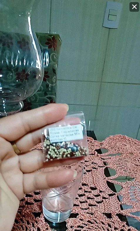 Sementes recebidas pela cliente