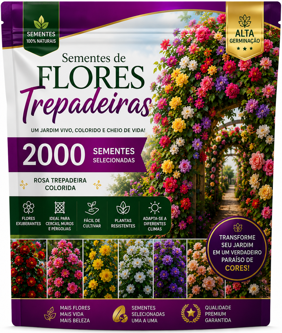 2000 sementes de rosas trepadeiras coloridas