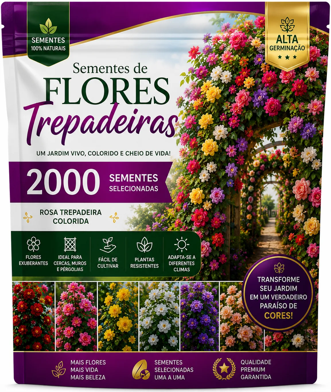 2000 sementes de rosas trepadeiras coloridas