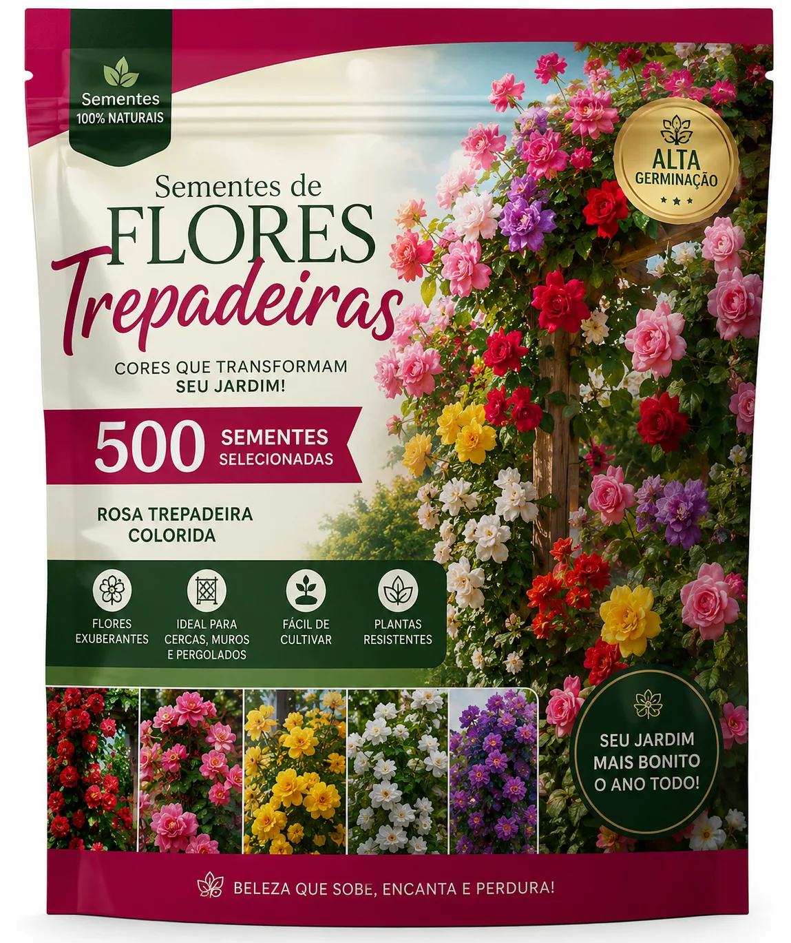 500 sementes de rosas trepadeiras coloridas