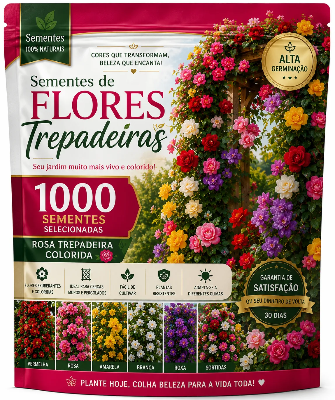 1000 sementes de rosas trepadeiras coloridas